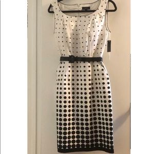 Tahari Dress NWT Sz 8 White Black Sleeveless